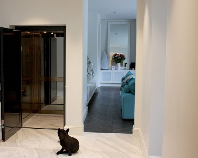 Open black glass lift door with a small black dog standing on the floor