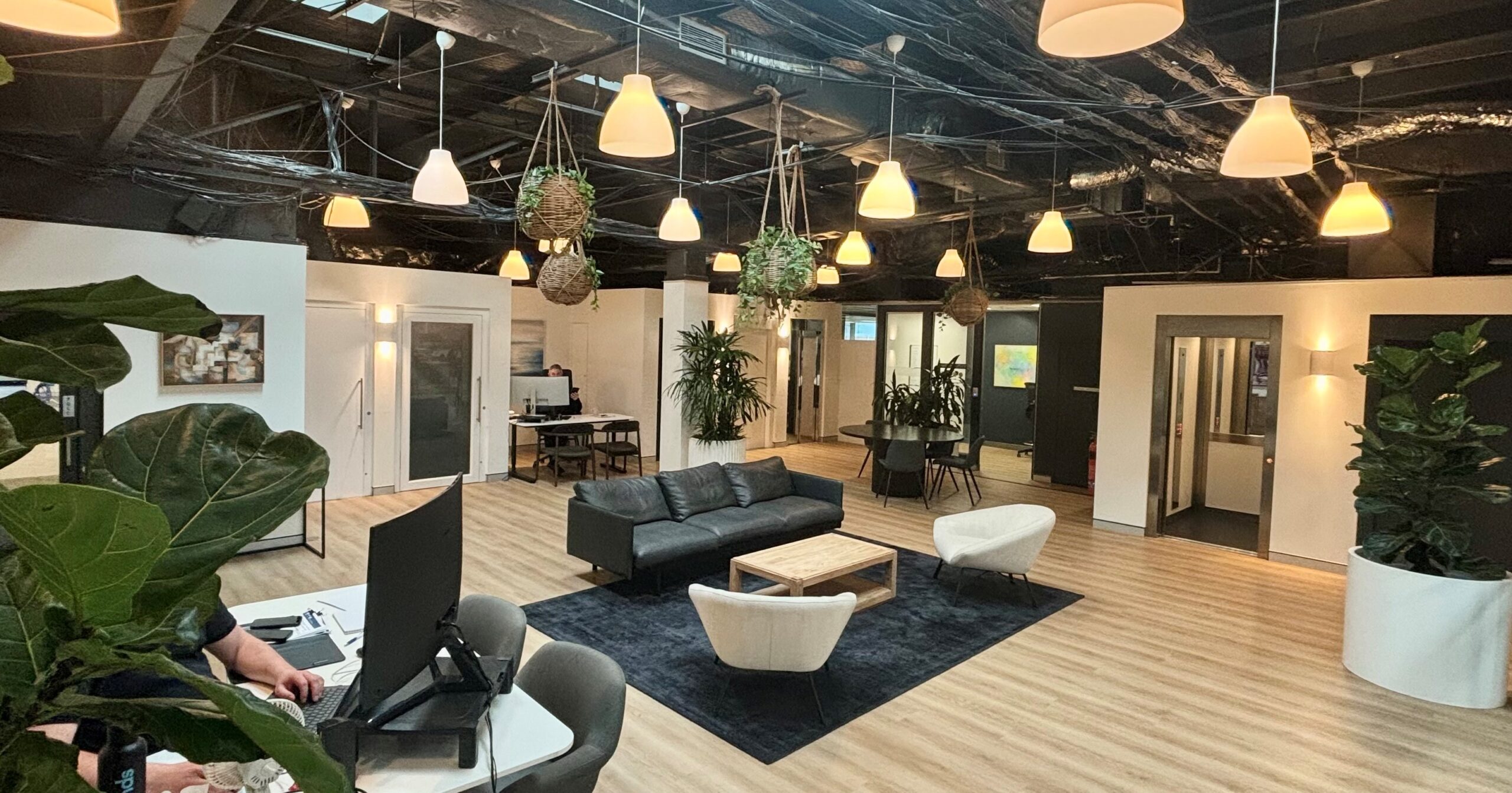 Couches and plants in Lift Shop Sydney Showroom