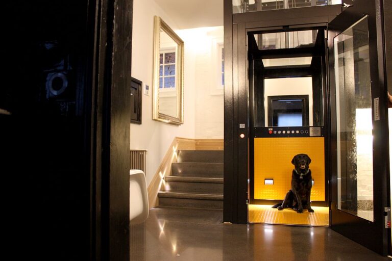 Black labrador sitting in the open lift beside a short flight of stairs