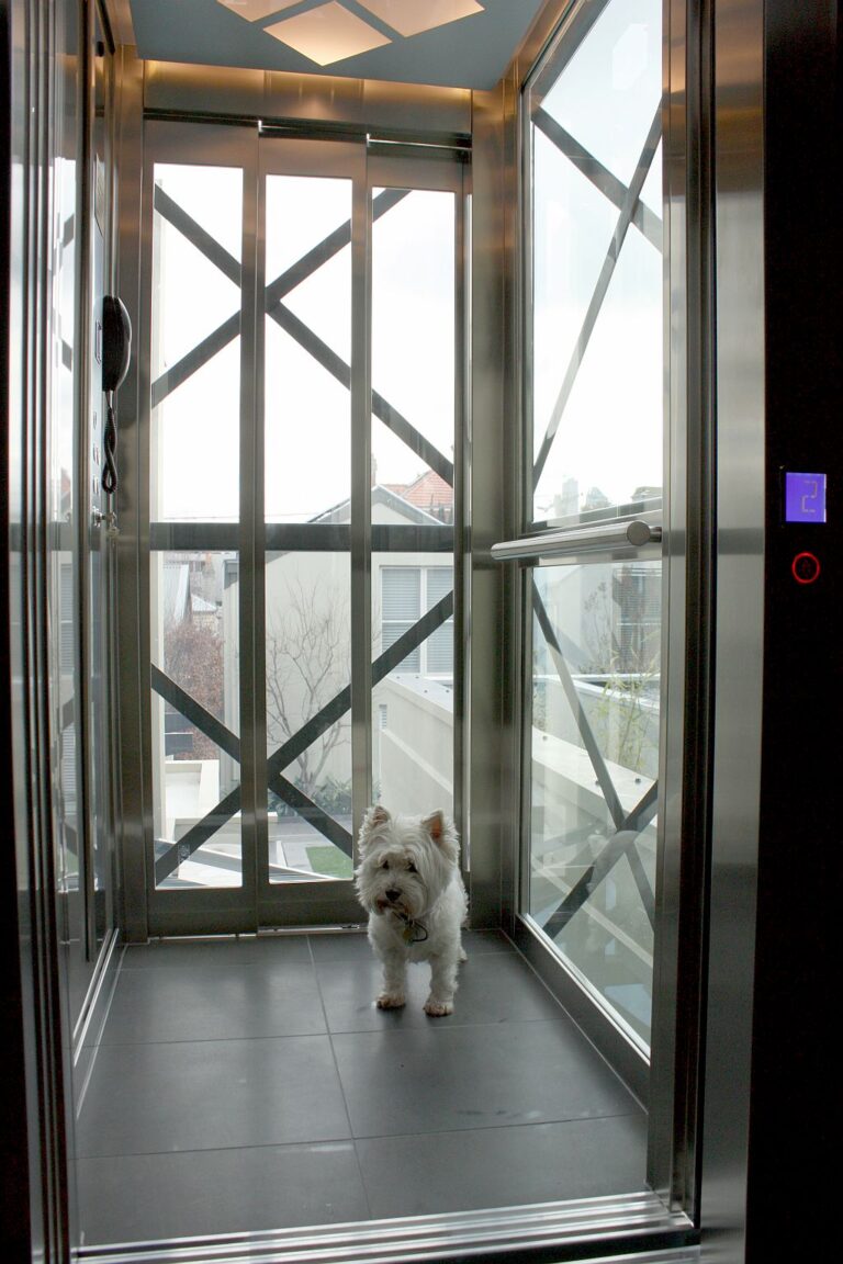 The family dog standing inside the ElfoLift 2 cabin with stainless steel and glass walls