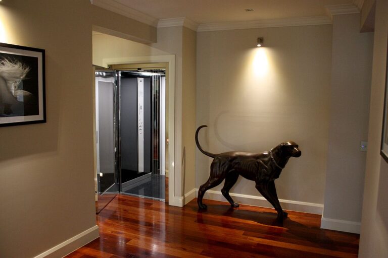 Open lift door at the end of a hallway beside a bronze dog sculpture and a framed picture