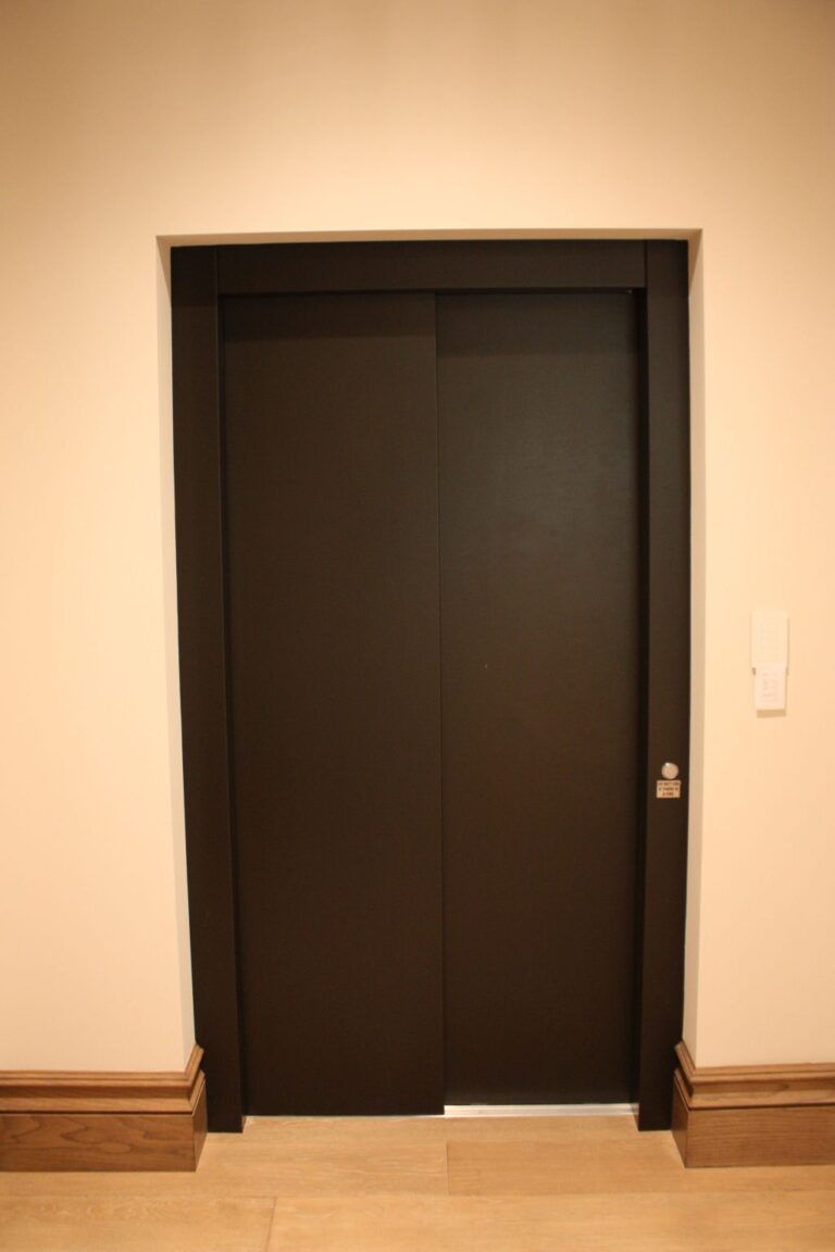 Closed dark E2 lift doors in a cream wall with timber skirting