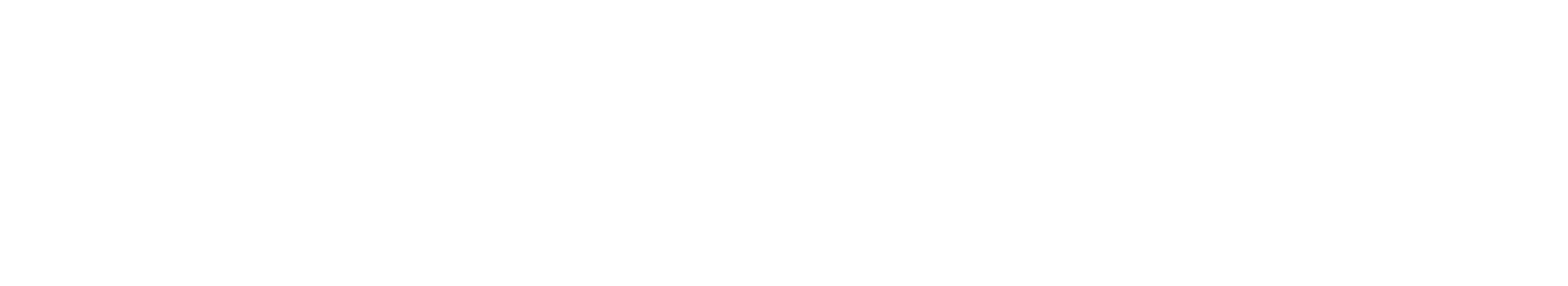 Elevator Boutique logo